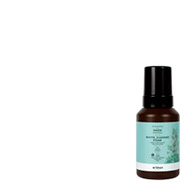 Artego: Oasis Phyto-Cleanse Foam